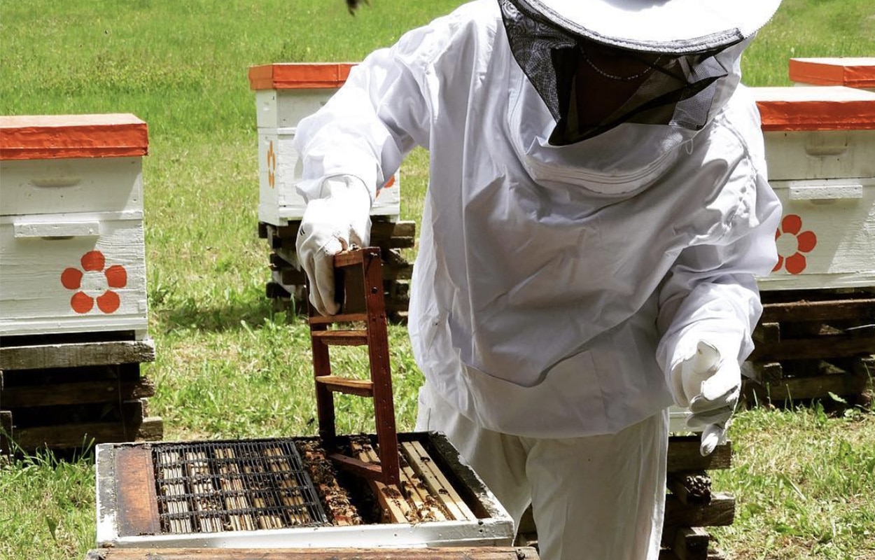 Savoir faire - Secrets de Miel