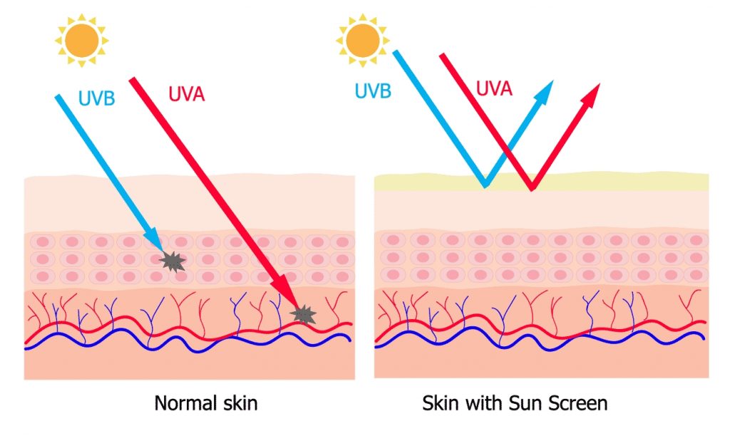 Crème Solaire - article de blog - radiations - UV - explications - Secrets de Miel