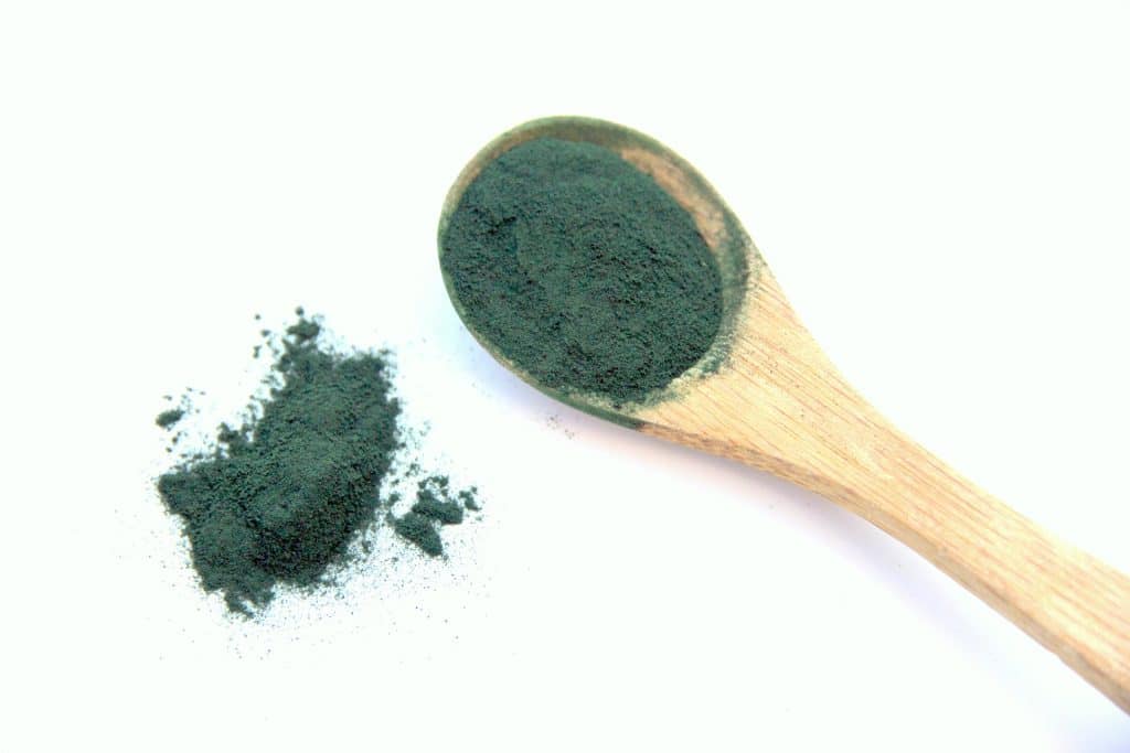 spirulina 1829077 1920