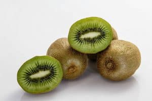 kiwifruit 400143 1920
