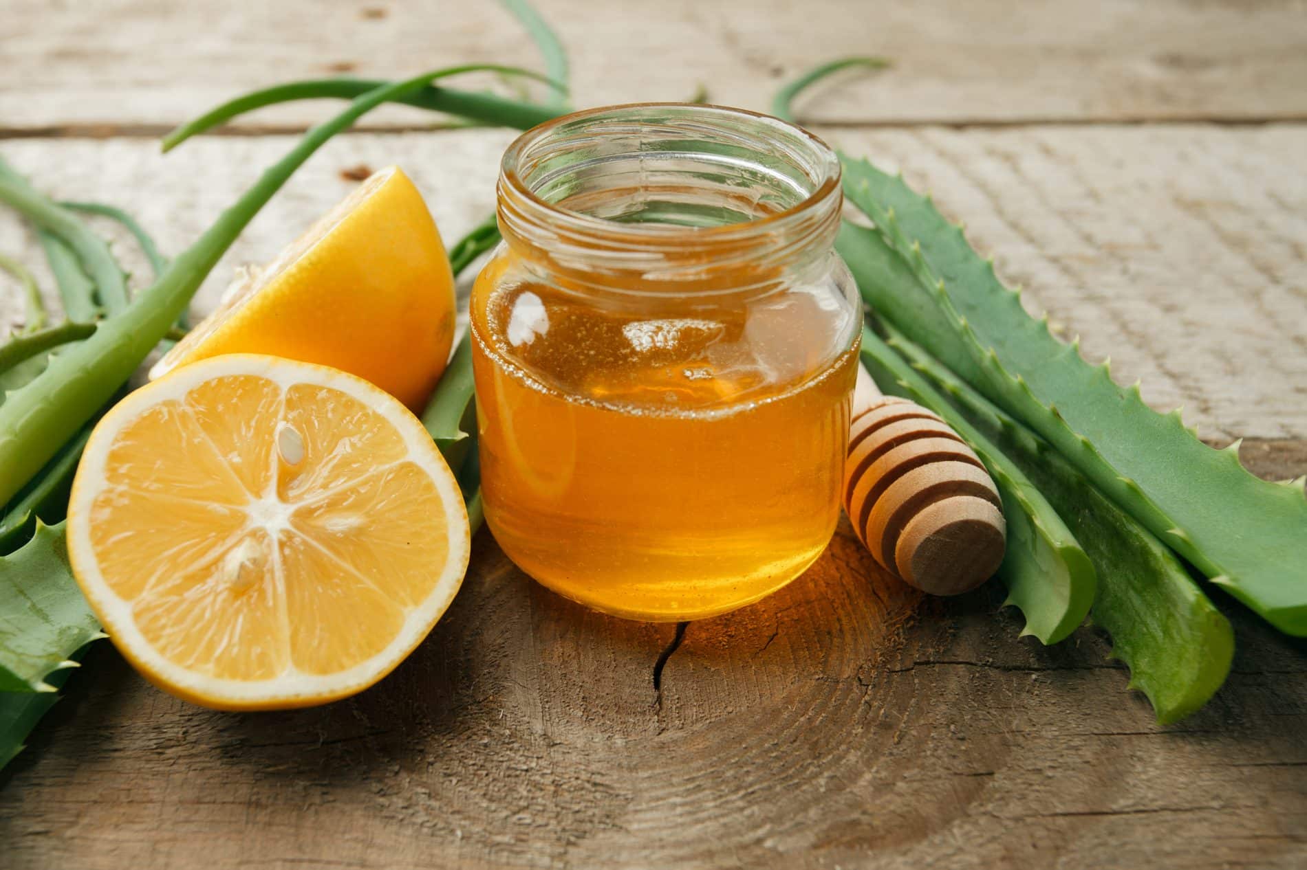 Comment raliser un soin apaisant  L'Alo Vera - Secrets de Miel