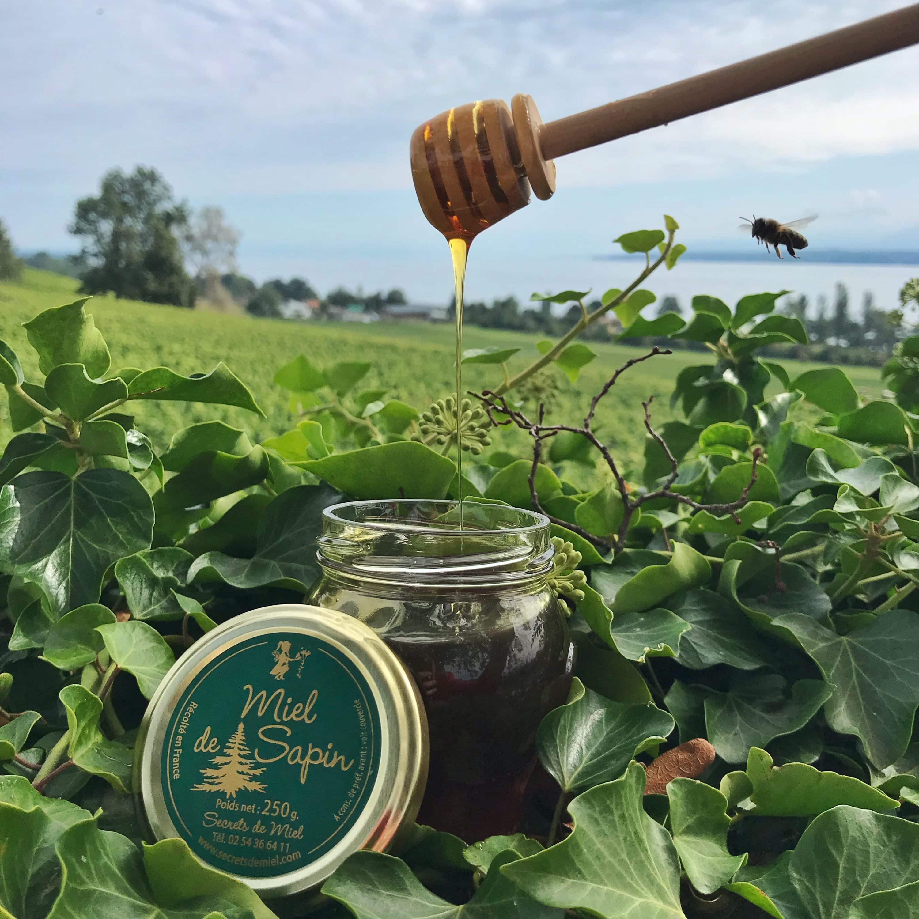 Produit de la ruche - bienfaits