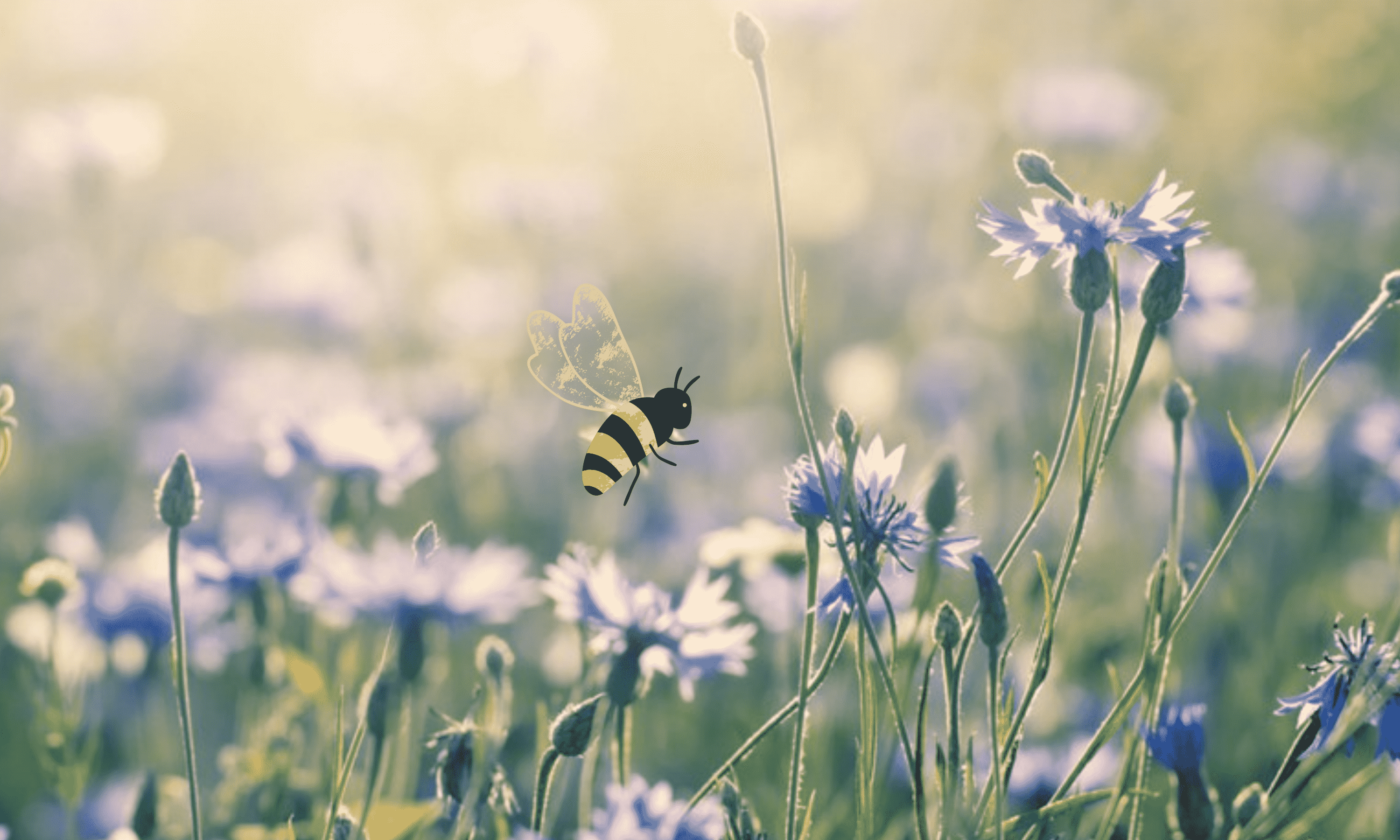 abeille printemps