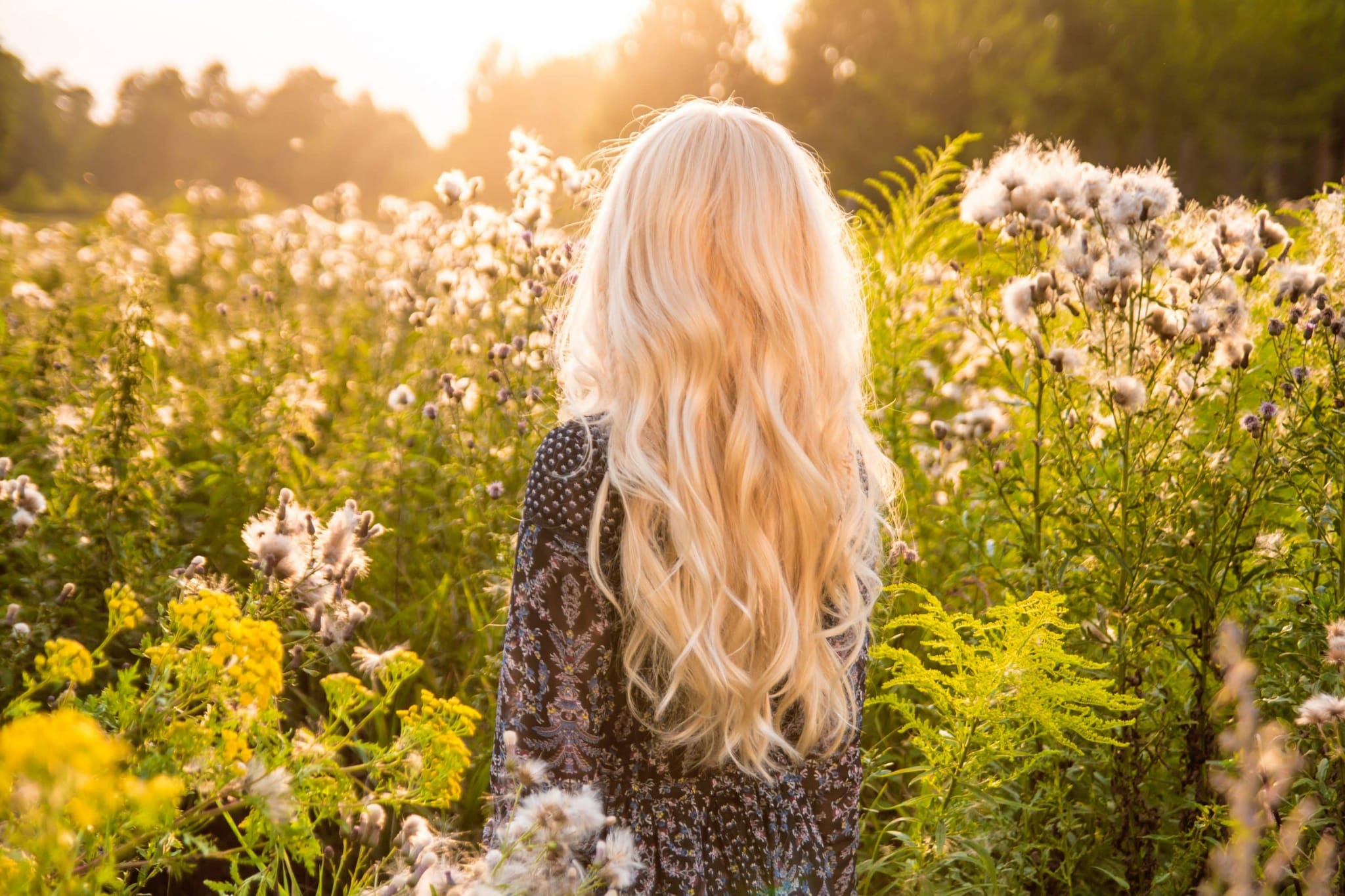 Comment éclaircir ses cheveux naturellement ? Secrets de Miel — free download