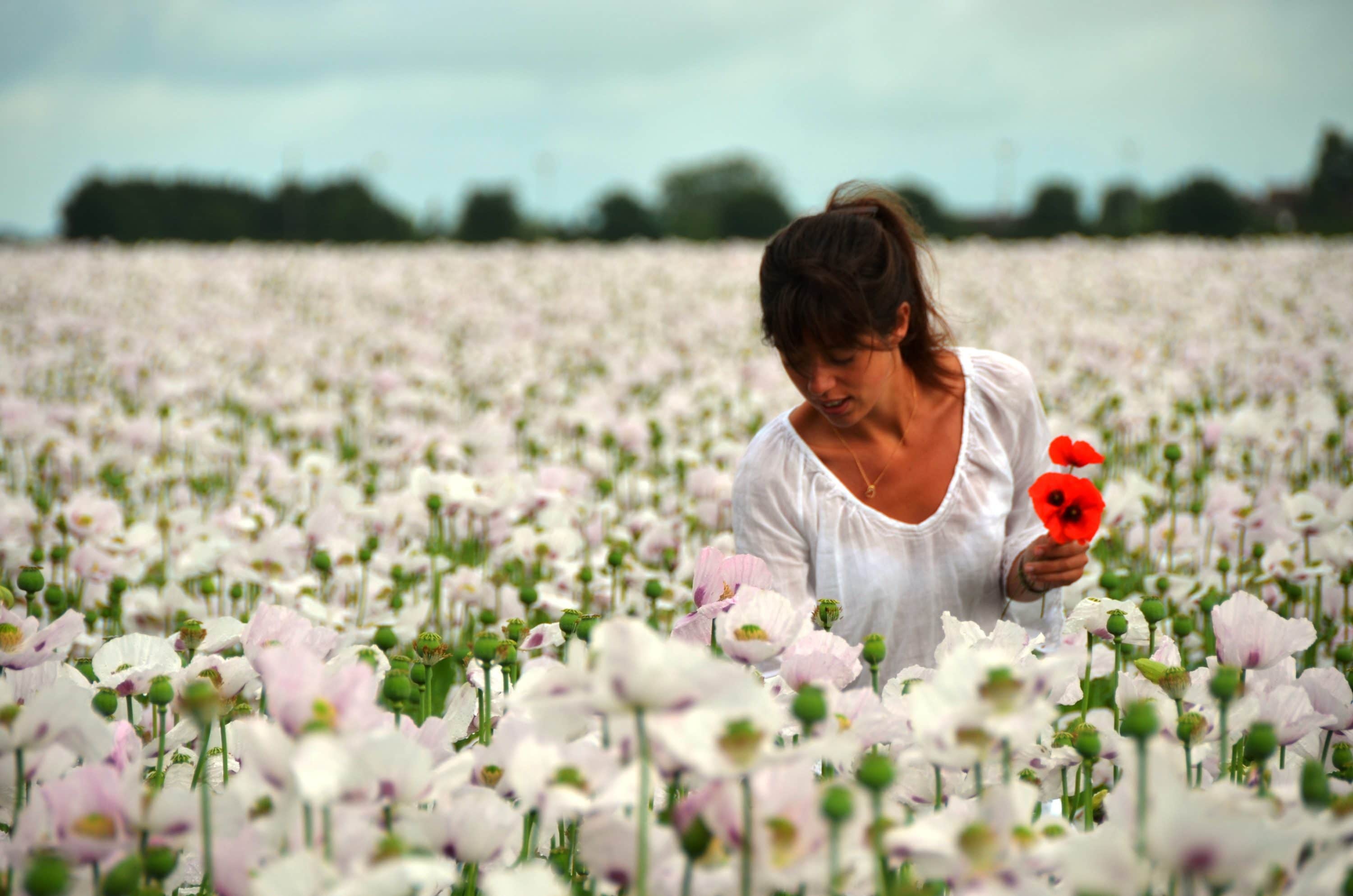 Quels sont les bienfaits de l'aromathérapie ? - Secrets de Miel