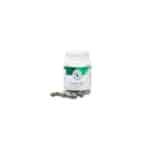 spiruline