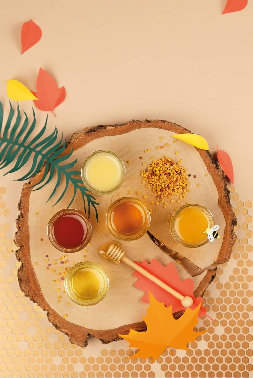 Miels catalogue AH20