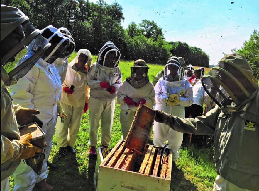 Conseilleres rucher apitherapie