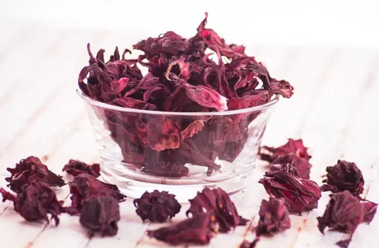 Infusion hibiscus : bienfaits venus d'Afrique