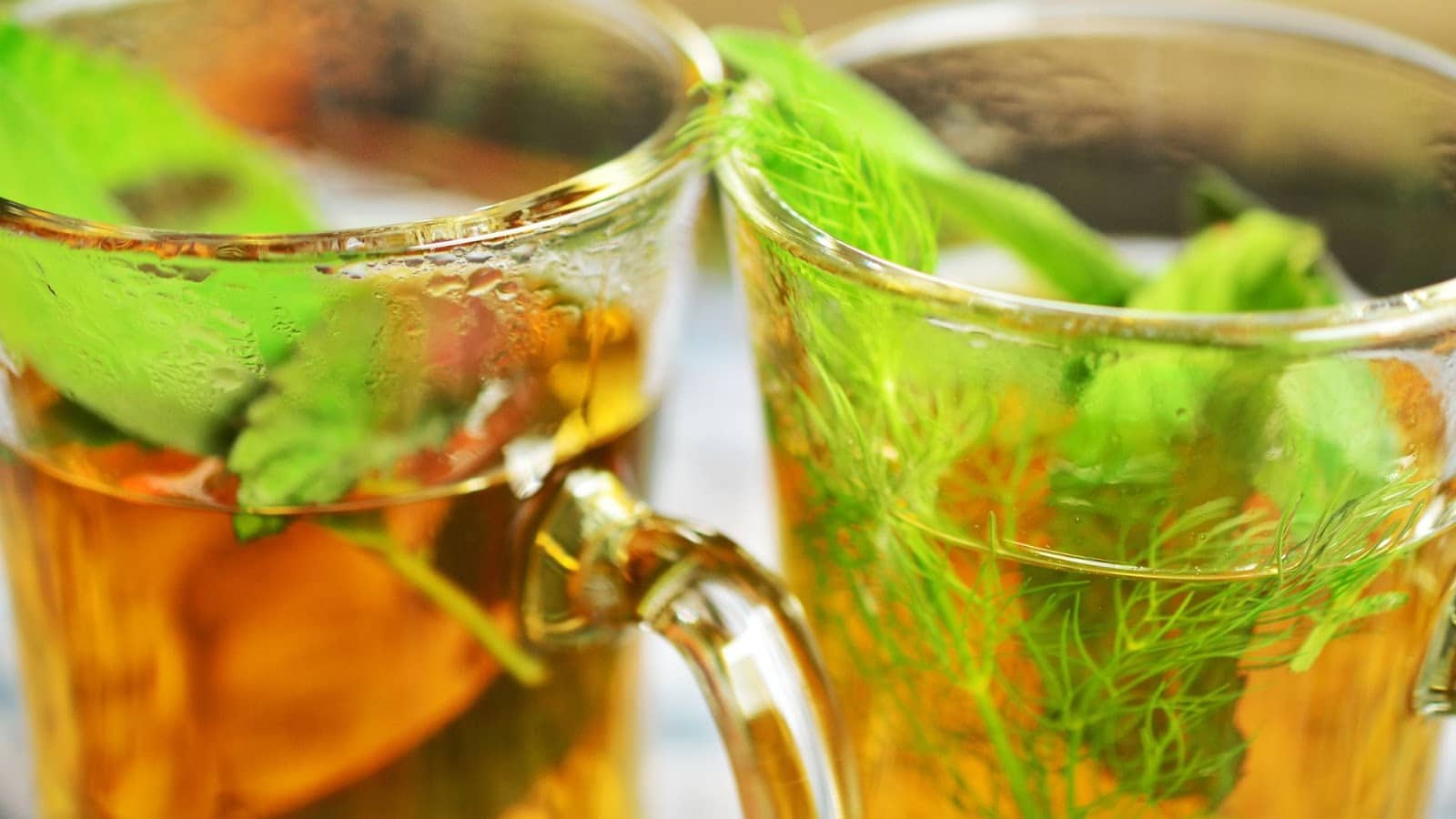 tisane fenouil 2