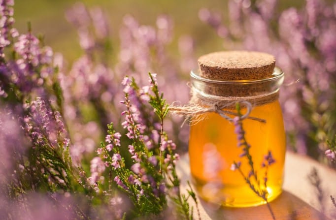 miel de bruyere3