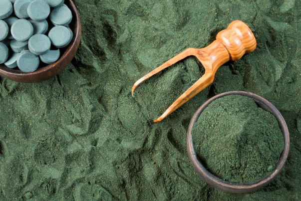 spiruline 2