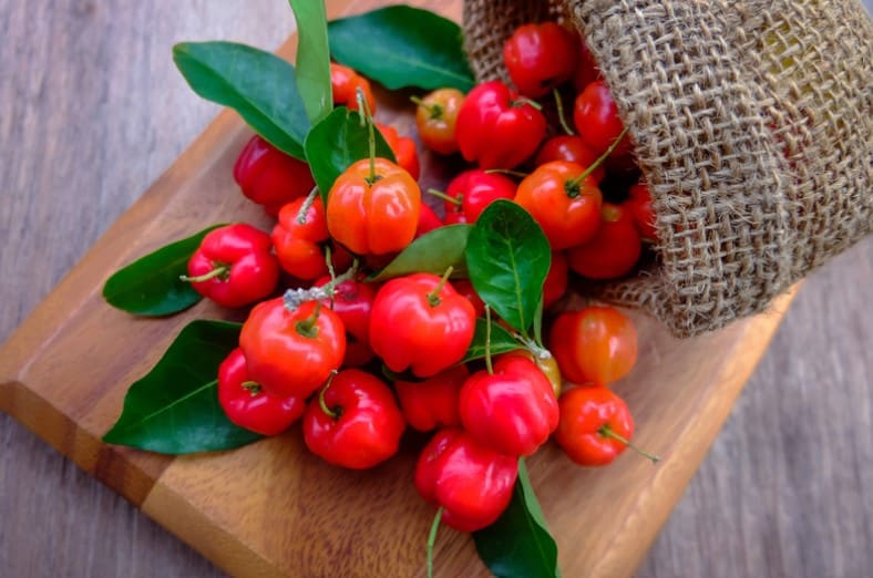 acerola 1