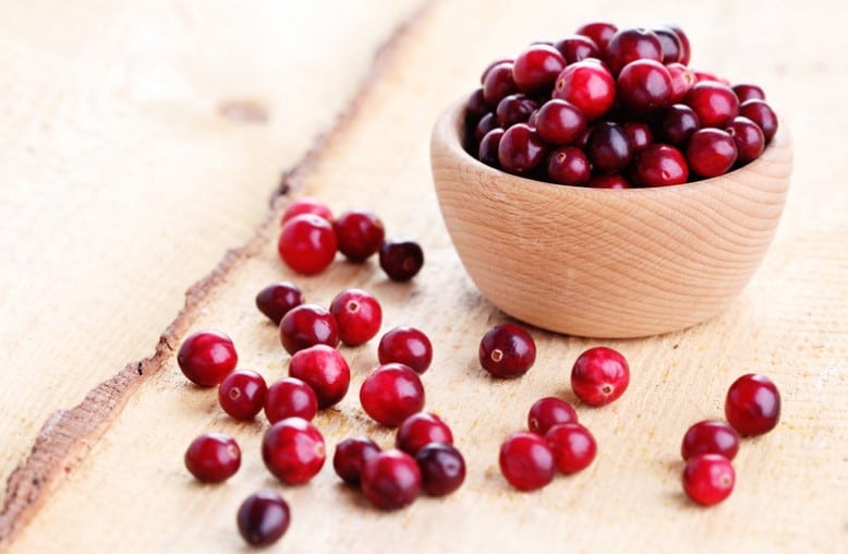 Quels sont les bienfaits des cranberries pour la santé ? - Secrets de Miel