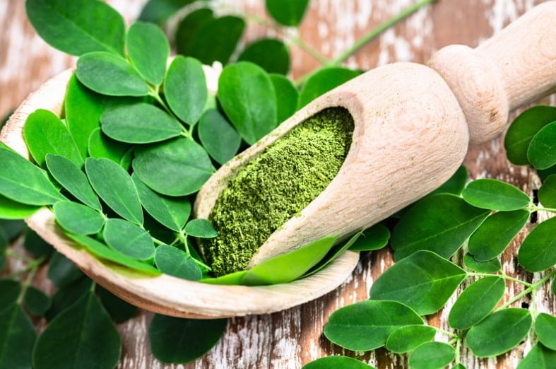 moringa 0