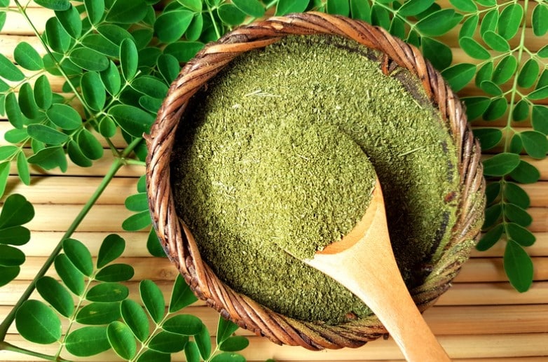 moringa 2