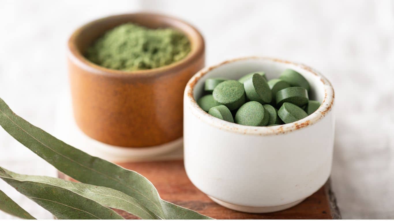 Chlorella vulgaris 2