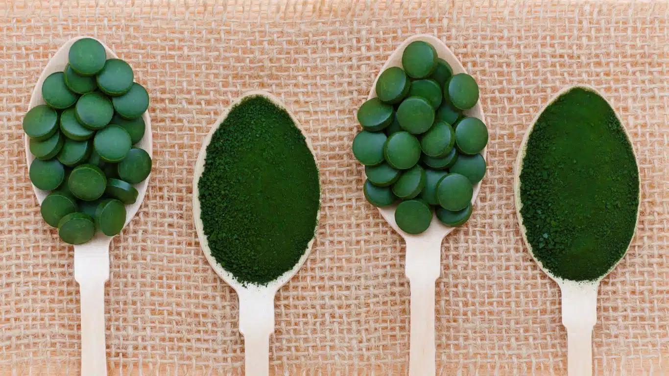 Chlorella vulgaris