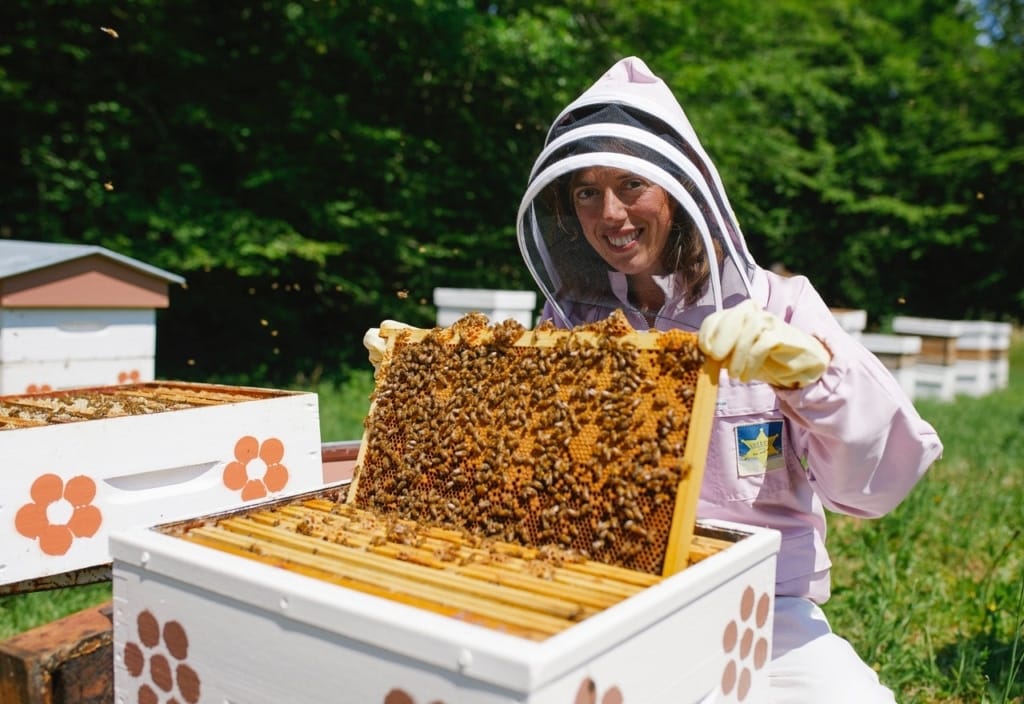 Formation apiculture en ligne : le guide pour bien choisir sa formation 6 Elise abeille