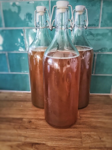 bienfaits_kombucha
