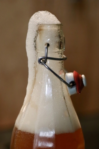 bienfait_kombucha