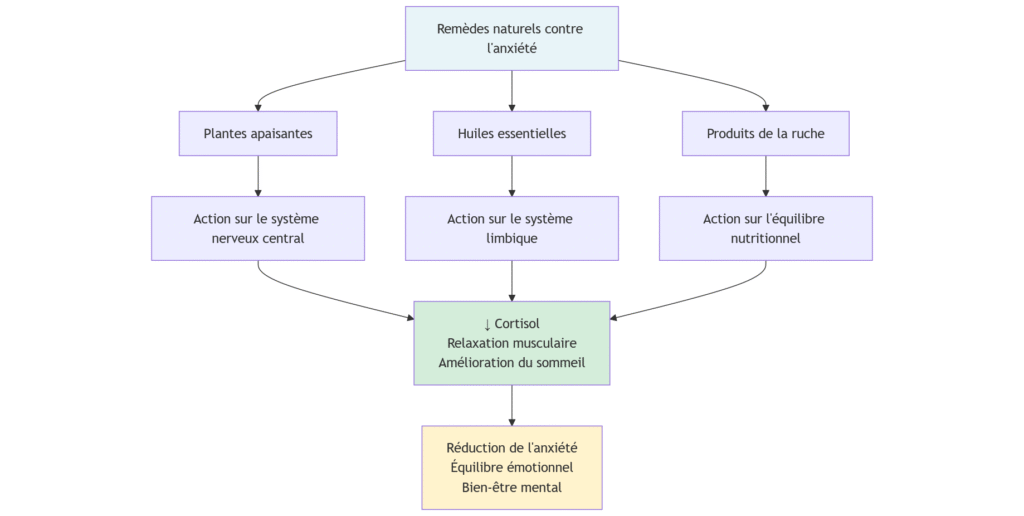 Quel remède naturel contre l'anxiété ? 4 mermaid diagram 2025 12 08 190014