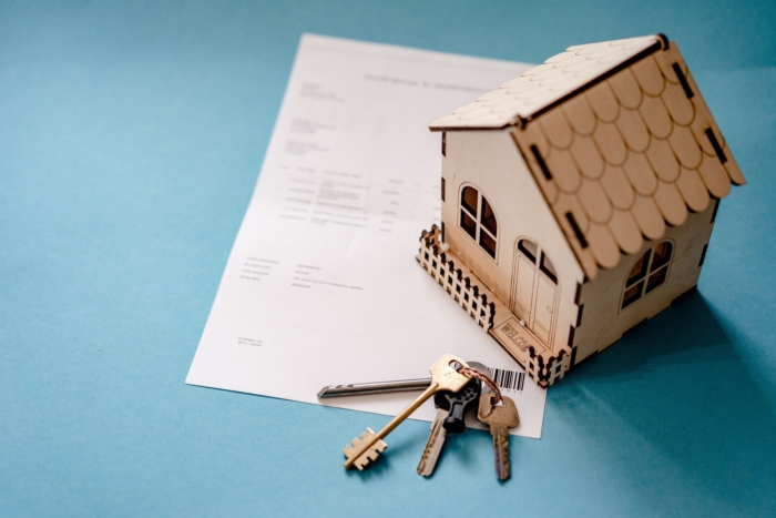 mlm immobilier