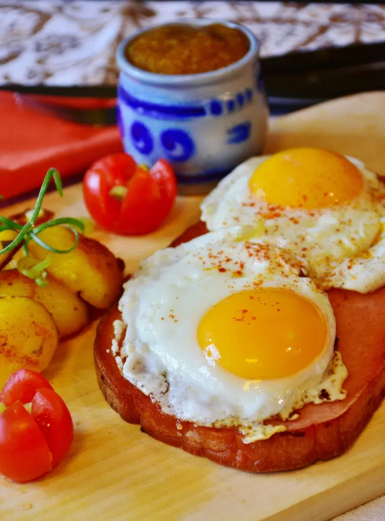 Formation nutrition en ligne gratuite : les meilleures options pour se former sans payer 7 formation nutrition gratuite